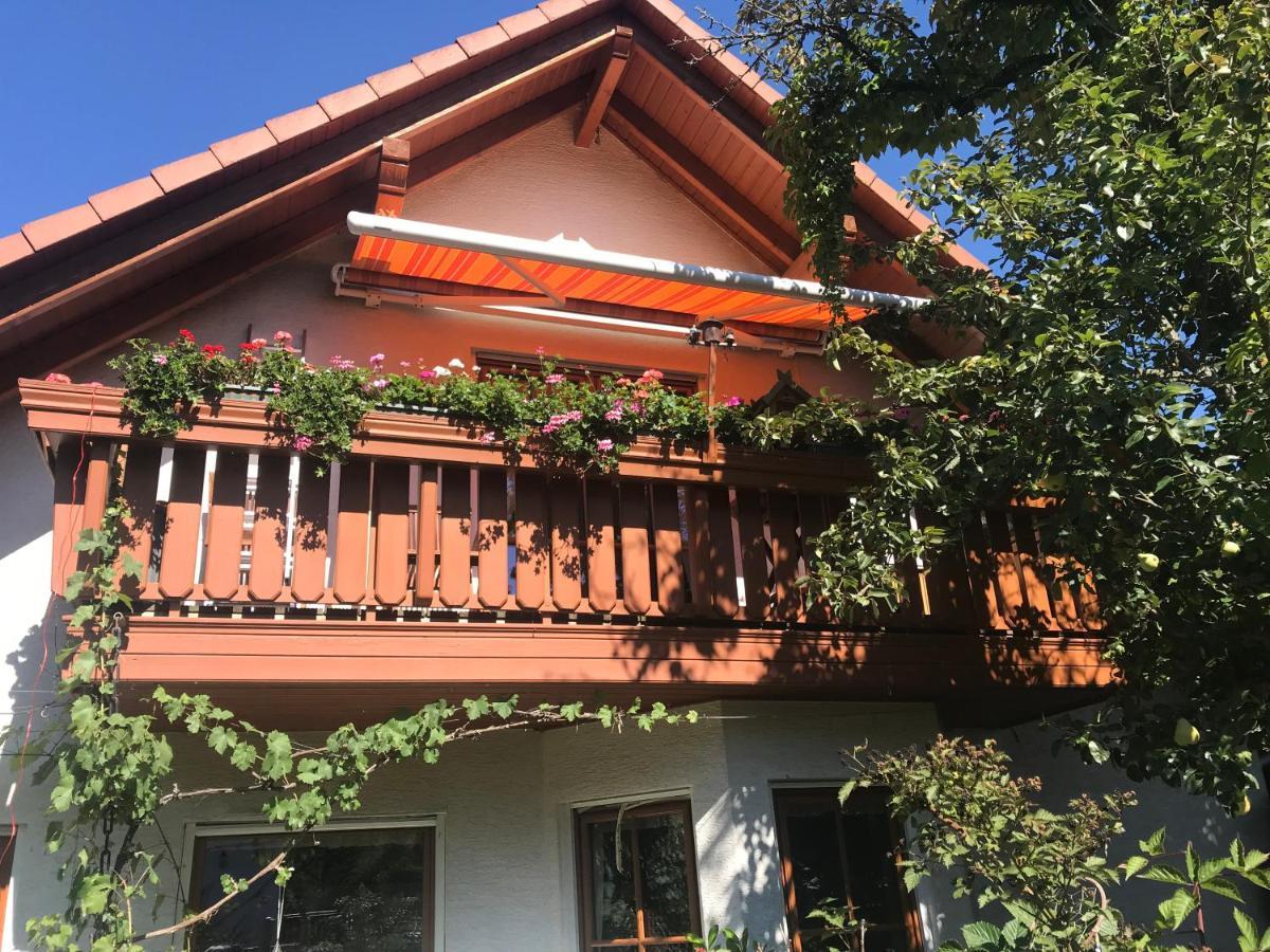 Fewo Judith Freital Exteriör bild